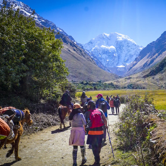 Andean Landscapes Humantay